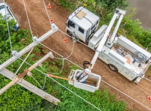 Parana Trifasico rede Protegida em Francisco Beltrão