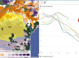 Cenário de trigo no Paraná EarthDaily Agro / Divulgação