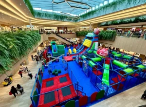 arqueGatoGatactico_creditos_Bruna Benazzi