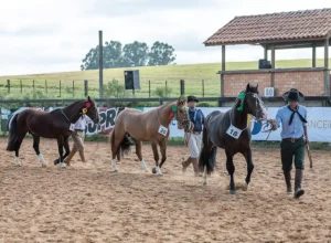 Passaporte Balsa Nova - Crédito Leandro Vieira Divulgação