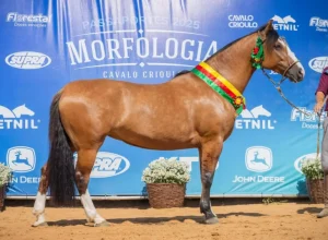 Ramon 291 Florência - Crédito Fagner Almeida Divulgação