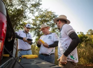 Seis equipes técnicas do Rally avaliaram lavouras de milho segunda safra Divulgação