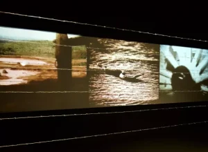 Videoinstalacao-Janauba-Foto-Isabel-Moreira-Leandro-Aragao