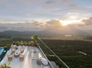 West Park Urban Habitat