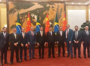 chineses-zeca-driceu