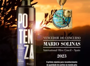 azeite-potenza