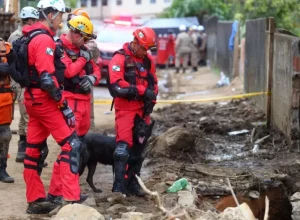 bombeiros busca com cães
