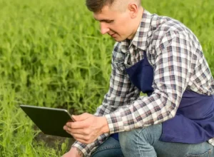 assespro__campo_agricultura