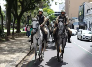 pmpr_curitiba__cavalaria nas ruas