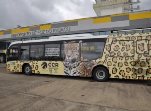 Parceria entre CCR Aeroportos e projetos Onças do Iguaçu será importante para a preservação da espécie. Fotos: Rafael Guimarães