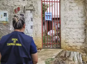 censo-animal-curitiba