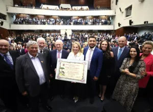 __cida cidadã honorária