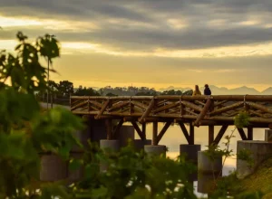 pinhais__cidade de pinhais foto pmp (2)