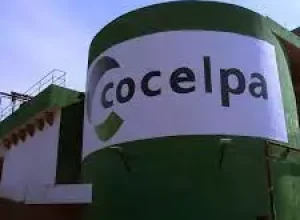 Grupo COCELPA