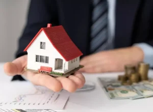 Divulgação Biasi Leilões