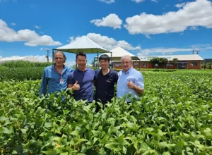 __coopavel japoneses