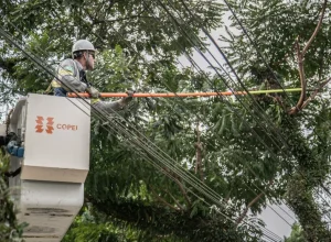 copel poda árvores boa (1)