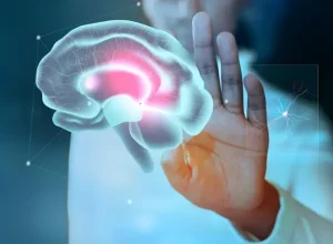 _dengue-e-cerebro-Danielle