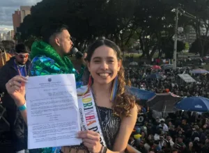 deputada ana júlia parada gay (1) (1)