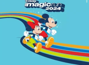 disney-nh