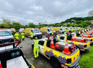 parana_equipes_concessionarias veículos