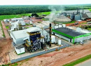 empreendedorismo_grupo-safras