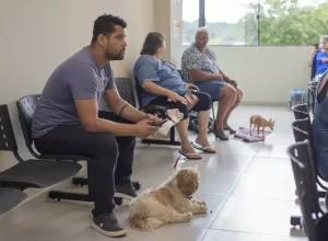 curitiba-hpe4t__hospital veterinário