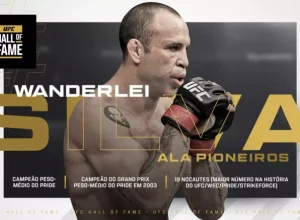 WANDERLEI SILVA