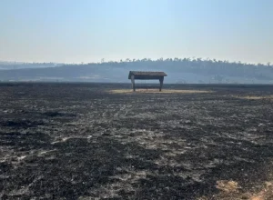 incendio_umuarama_03_iat