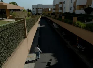 lei-maus-tratos-animais-curitiba