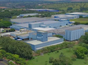 BAT Brasil Criador: Anna Carolina Alves