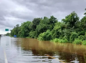 alexandra-matinhos__morretes rio na rodovia
