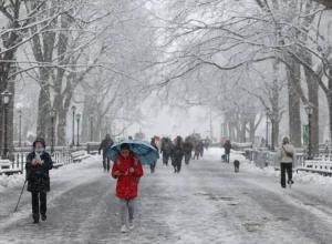 2024__nevasca nova iork yuki iwamura AFP