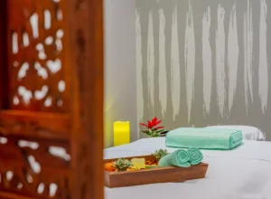 NH Curitiba The Five Curitiba inaugura Naturo SPA com experiências holísticas Juliana Seiler