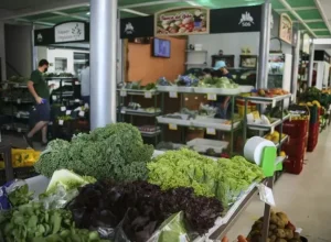 Mercado Municipal de Curitiba promove Semana de Orgânicos Foto: Luiz Costa - SMCS