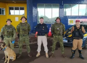 _policiais nas estradas com cachorro