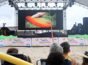 cinema-na-praia__posto_de_caioba_29_12_13