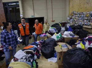 _ratinho em rio negro