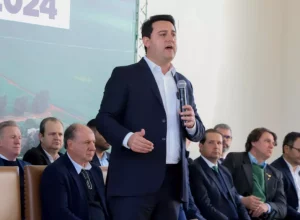 _ratinho plano safra