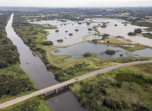 _reserva hidrica do futuro 1 foto ricardo marajó