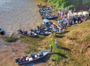 parana__rio ivaí peixes