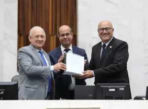 parana__romanelli orçamento