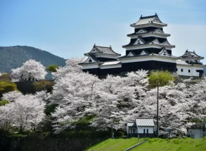 Castelo de Ozu, Província de Ehime Raicho/Shutterstock.com