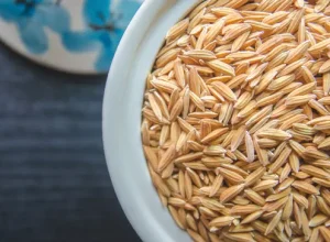 Mato Grosso recebe nesta semana Grupo de Trabalho da Agricultura do G20