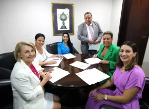 Projeto que amplia proteção de órfãos de feminicídios no Paraná avança na Comissão de Defesa dos Direitos da Mulher