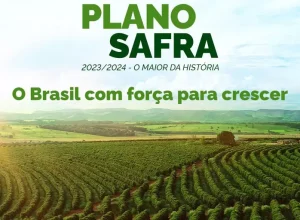 Um dos cards da campanha publicitária. Foto: Divulgação / Secom / PR