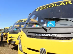 O Pnate tem o objetivo de apoiar o transporte dos estudantes por meio de assistência técnica e financeira, em caráter suplementar, a estados, municípios e o Distrito Federal - Foto: Fábio Nakakura/MEC