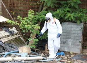 combate-dengue-pinhais