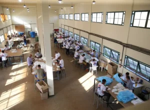 presidiários_parana