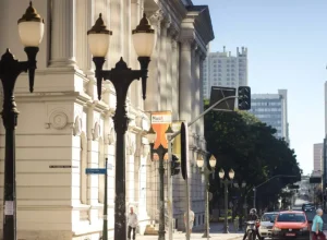 Foto: Divulgação (Crédito - Cassiano Psomas via Pexels)